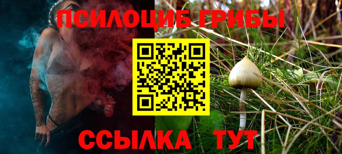 Светлоград  наркошоп  Псилоцибиновые грибы GOLDEN TEACHER  Вход с VPN  Псилоцибиновые грибы прущие грибы 